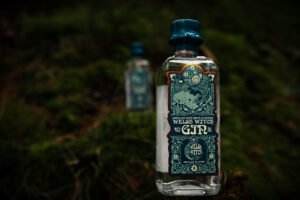 welsh witch original dry gin